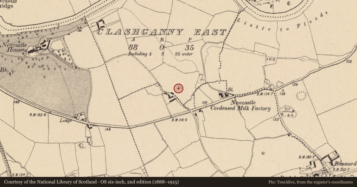Ordnance Survey six-inch map, 2nd edition (1888–1915) covering the location of Standing stone, Clashganny East, County Tipperary South, with a pin at the register's coordinates