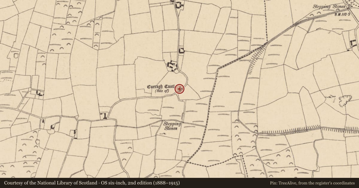 Ordnance Survey six-inch map, 2nd edition (1888–1915) covering the location of Castle - unclassified, Curragh (Ballybacon Par.), County Tipperary South, with a pin at the register's coordinates