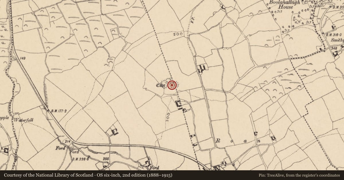 Ordnance Survey six-inch map, 2nd edition (1888–1915) covering the location of Ringfort - rath, Boolahallagh, Clashganny West, County Tipperary South, with a pin at the register's coordinates