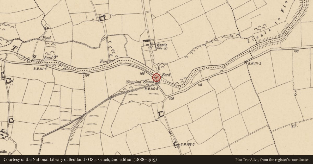 Ordnance Survey six-inch map, 2nd edition (1888–1915) covering the location of Ford, Crohan, Frehans, County Tipperary South, with a pin at the register's coordinates