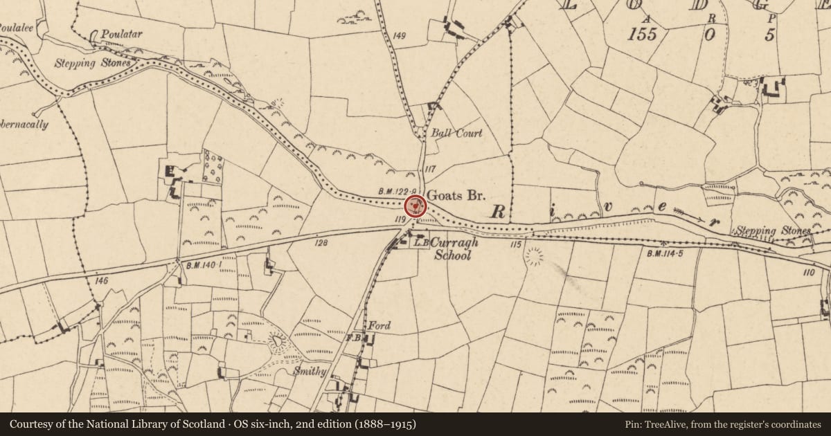 Ordnance Survey six-inch map, 2nd edition (1888–1915) covering the location of Ford, County Tipperary South, with a pin at the register's coordinates