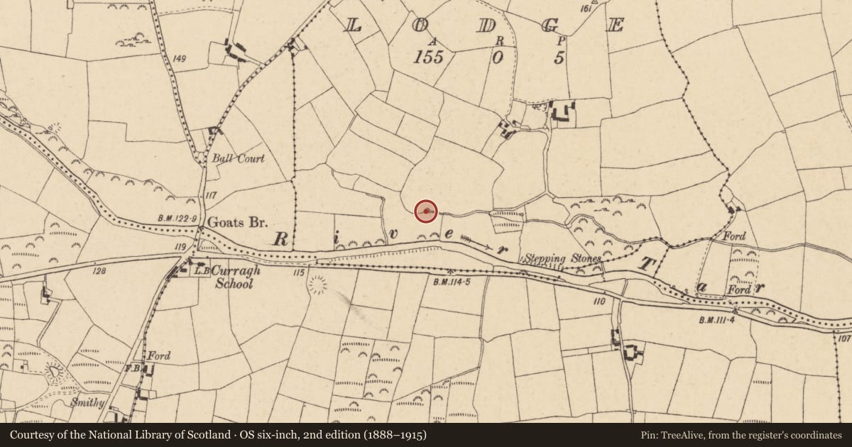 Ordnance Survey six-inch map, 2nd edition (1888–1915) covering the location of Ritual site - holy well, Lodge (Ballybacon Par.), County Tipperary South, with a pin at the register's coordinates