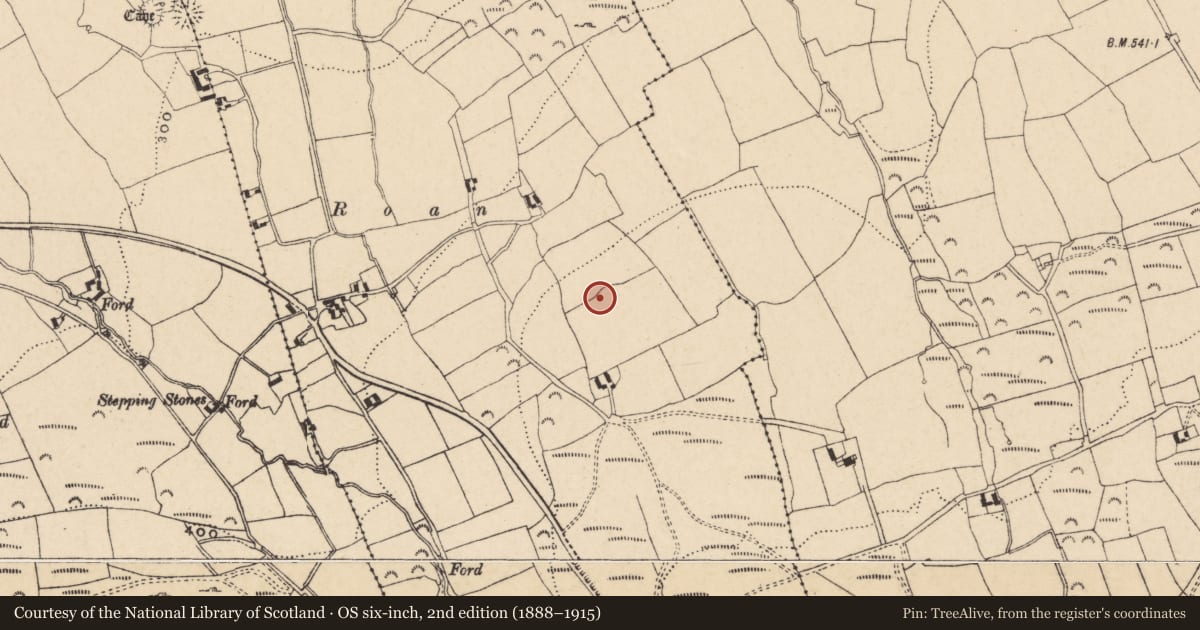 Ordnance Survey six-inch map, 2nd edition (1888–1915) covering the location of Enclosure, Boolahallagh, County Tipperary South, with a pin at the register's coordinates
