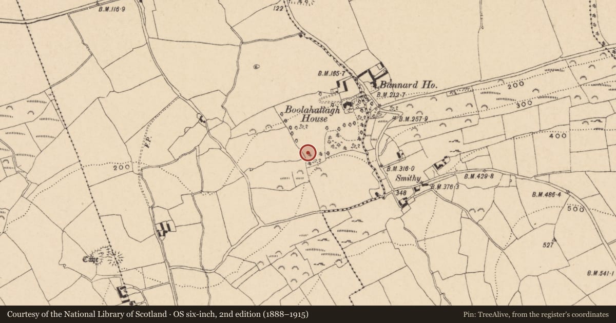 Ordnance Survey six-inch map, 2nd edition (1888–1915) covering the location of Souterrain, Boolahallagh, County Tipperary South, with a pin at the register's coordinates