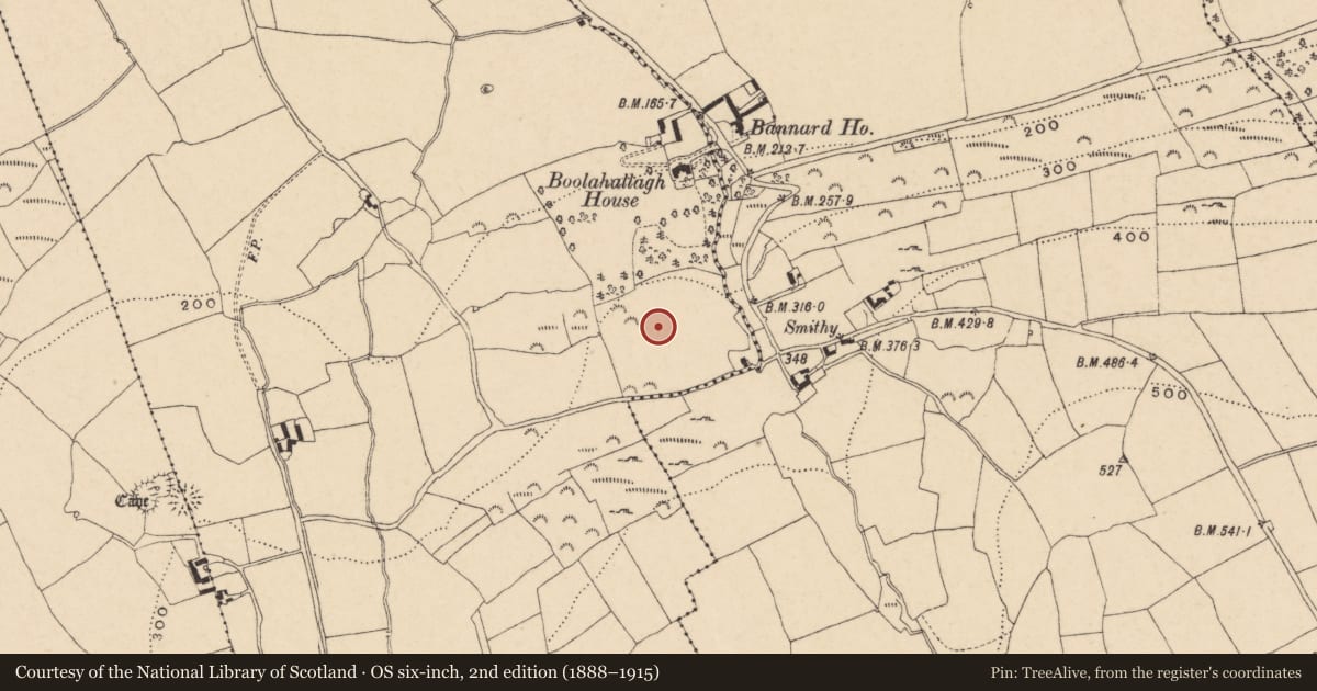 Ordnance Survey six-inch map, 2nd edition (1888–1915) covering the location of Standing stone, Boolahallagh, County Tipperary South, with a pin at the register's coordinates