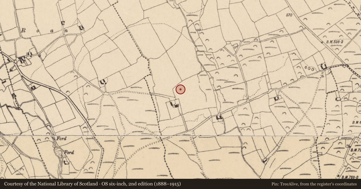 Ordnance Survey six-inch map, 2nd edition (1888–1915) covering the location of Standing stone, Garryduff (Newcastle Par.), County Tipperary South, with a pin at the register's coordinates