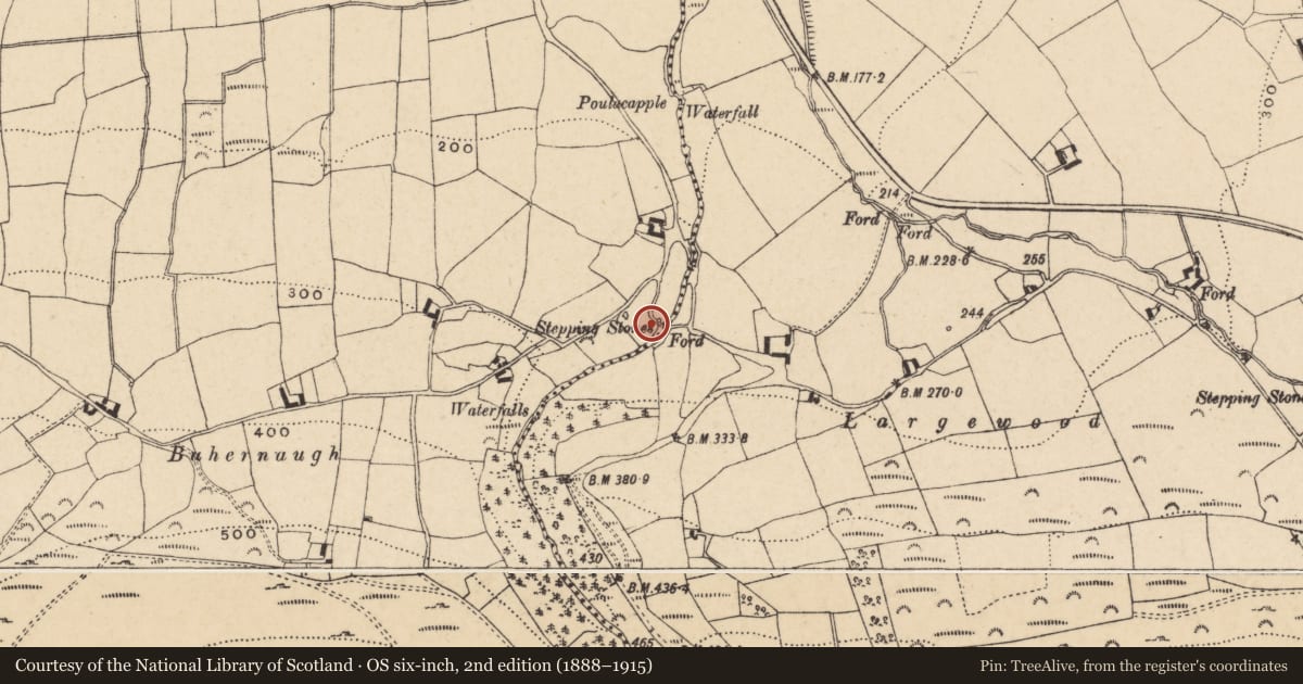 Ordnance Survey six-inch map, 2nd edition (1888–1915) covering the location of Well, Middlequarter (Newcastle Par.), County Tipperary South, with a pin at the register's coordinates