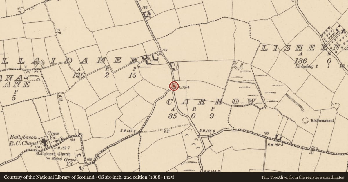 Ordnance Survey six-inch map, 2nd edition (1888–1915) covering the location of Ritual site - holy/saint's stone, Carrow (Ballybacon Par.), Killaidamee, County Tipperary South, with a pin at the register's coordinates