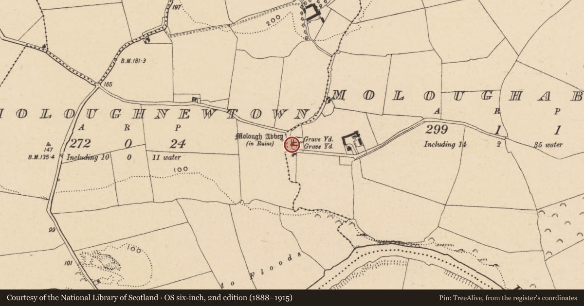 Ordnance Survey six-inch map, 2nd edition (1888–1915) covering the location of Ogham stone, Moloughabbey, County Tipperary South, with a pin at the register's coordinates