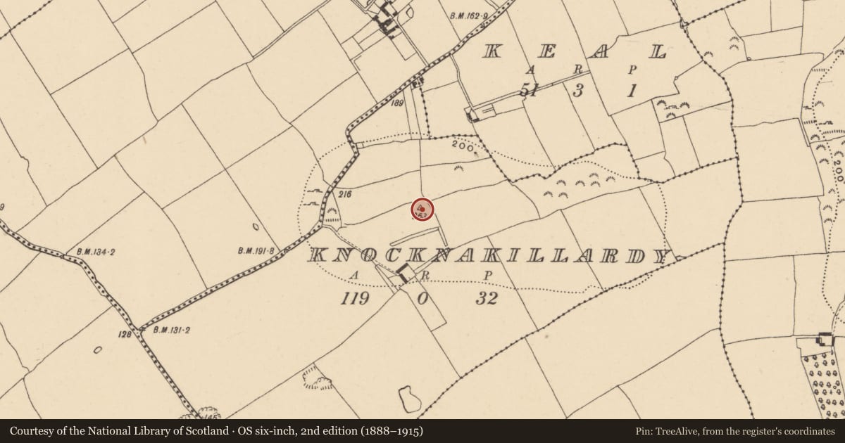 Ordnance Survey six-inch map, 2nd edition (1888–1915) covering the location of Standing stone, Knocknakillardy, County Tipperary South, with a pin at the register's coordinates