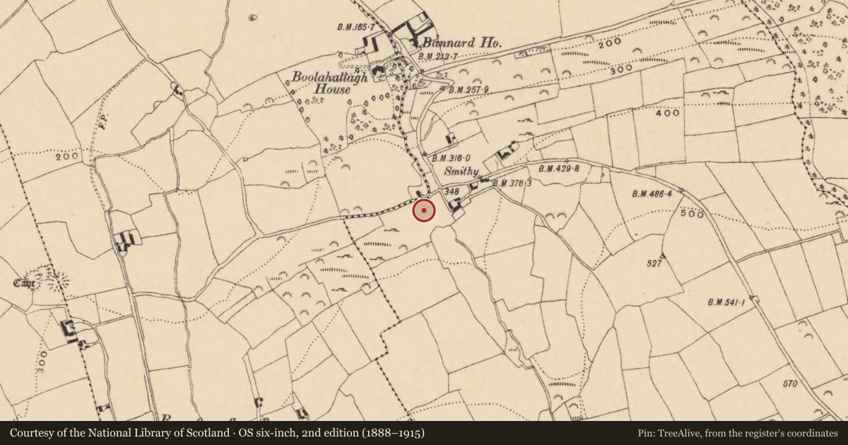 Ordnance Survey six-inch map, 2nd edition (1888–1915) covering the location of Souterrain, Garryduff (Newcastle Par.), County Tipperary South, with a pin at the register's coordinates
