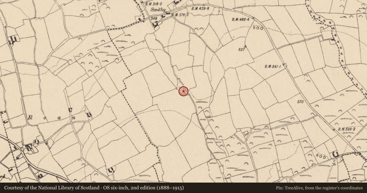 Ordnance Survey six-inch map, 2nd edition (1888–1915) covering the location of Fulacht fia, Garryduff (Newcastle Par.), County Tipperary South, with a pin at the register's coordinates