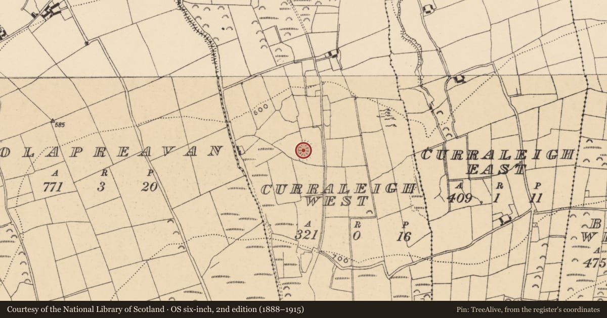 Ordnance Survey six-inch map, 2nd edition (1888–1915) covering the location of Ringfort - rath, Curraleigh West, County Tipperary South, with a pin at the register's coordinates