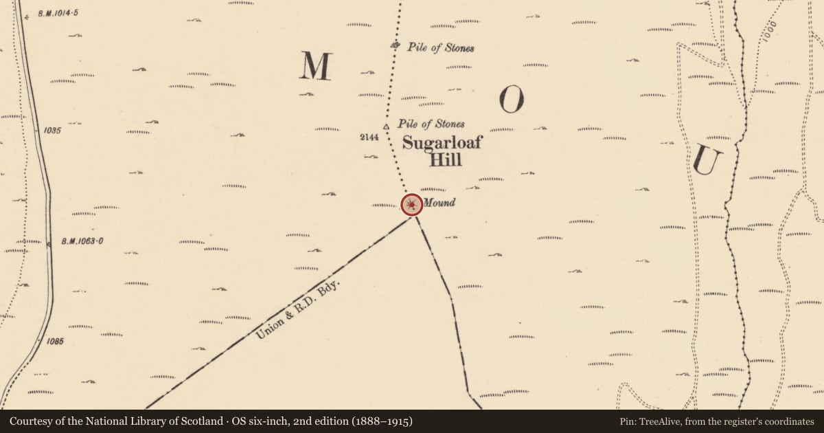 Ordnance Survey six-inch map, 2nd edition (1888–1915) covering the location of Cairn - unclassified, Bohernagore West, Graigue (Tullaghortan Par.), County Tipperary South, with a pin at the register's coordinates