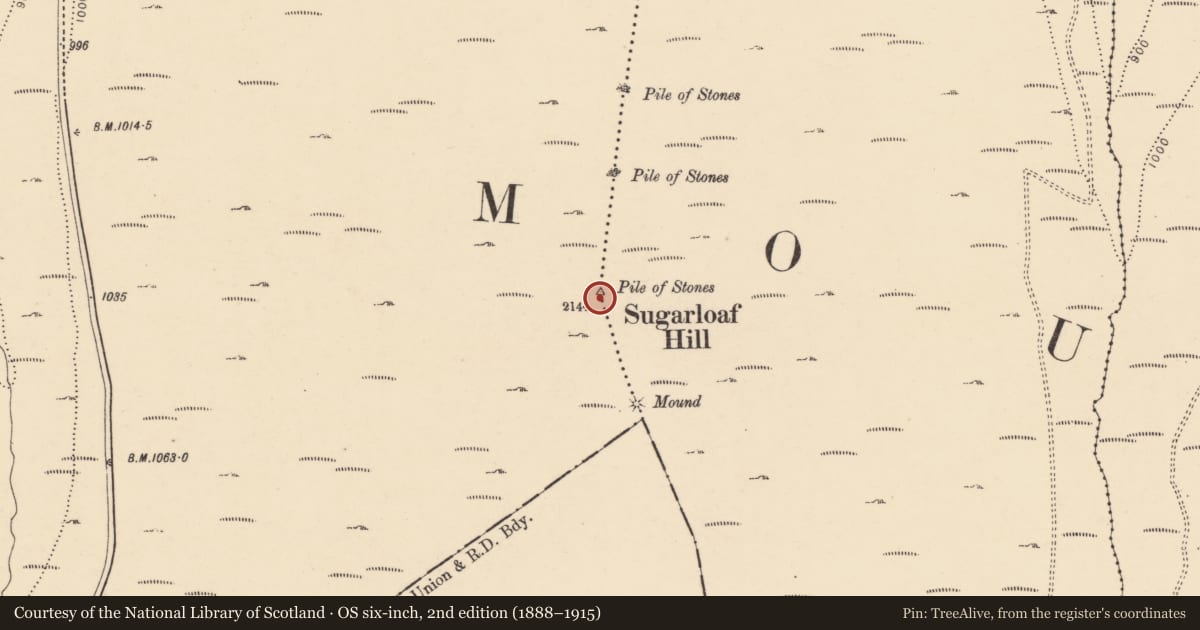 Ordnance Survey six-inch map, 2nd edition (1888–1915) covering the location of Cairn - unclassified, Bohernagore West, Graigue (Tullaghortan Par.), County Tipperary South, with a pin at the register's coordinates