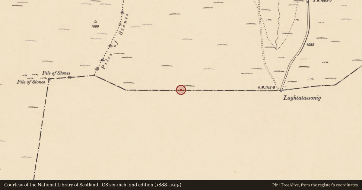 Ordnance Survey six-inch map, 2nd edition (1888–1915) covering the location of Linear earthwork, County Tipperary South, with a pin at the register's coordinates