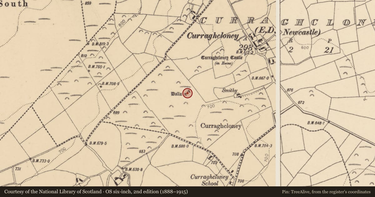 Ordnance Survey six-inch map, 2nd edition (1888–1915) covering the location of Standing stone - pair, Curraghcloney (Newcastle Par.), County Tipperary South, with a pin at the register's coordinates