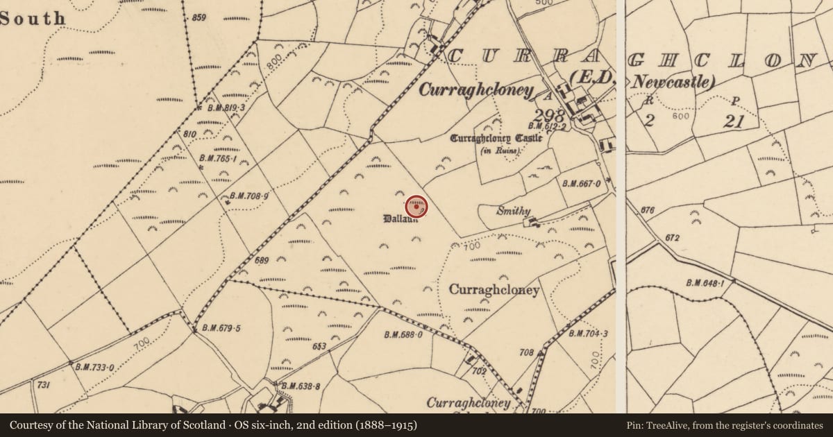 Ordnance Survey six-inch map, 2nd edition (1888–1915) covering the location of Cairn - unclassified, Curraghcloney (Newcastle Par.), County Tipperary South, with a pin at the register's coordinates