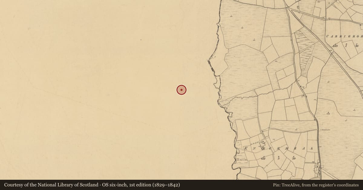 Ordnance Survey six-inch map, 1st edition (1829–1842) covering the location of Standing stone - pair, Aughavanlomaun, County Tipperary South, with a pin at the register's coordinates