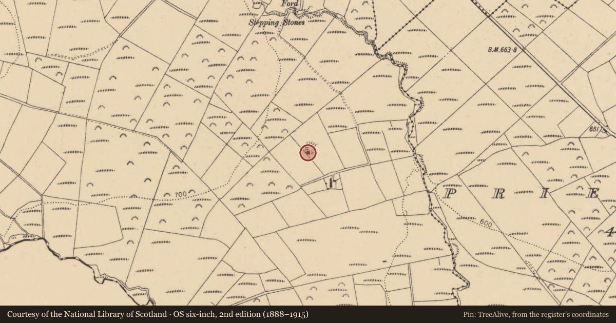Ordnance Survey six-inch map, 2nd edition (1888–1915) covering the location of Enclosure, Boolahallagh, County Tipperary South, with a pin at the register's coordinates