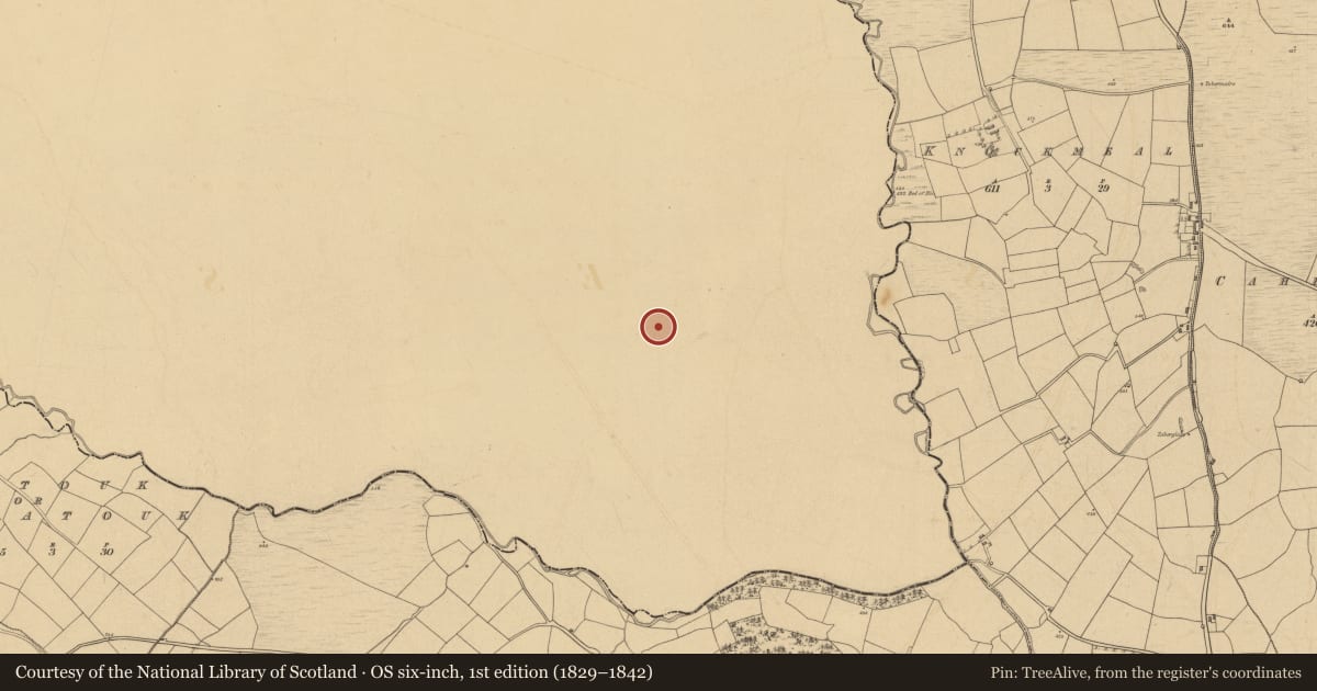 Ordnance Survey six-inch map, 1st edition (1829–1842) covering the location of Ogham stone, Priesttown (Newcastle Par.), County Tipperary South, with a pin at the register's coordinates