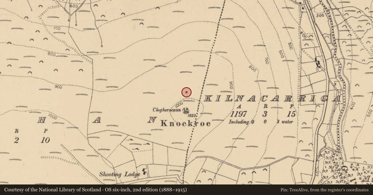 Ordnance Survey six-inch map, 2nd edition (1888–1915) covering the location of Enclosure, Crohan, County Tipperary South, with a pin at the register's coordinates