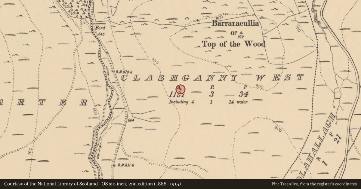 Ordnance Survey six-inch map, 2nd edition (1888–1915) covering the location of Hut site, Clashganny West, County Tipperary South, with a pin at the register's coordinates