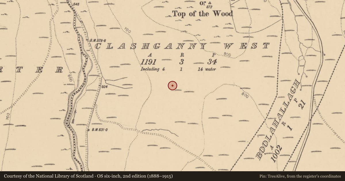 Ordnance Survey six-inch map, 2nd edition (1888–1915) covering the location of Hut site, Clashganny West, County Tipperary South, with a pin at the register's coordinates