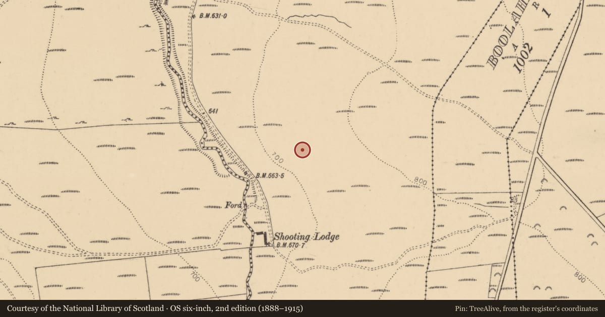 Ordnance Survey six-inch map, 2nd edition (1888–1915) covering the location of Cairnfield, Clashganny West, County Tipperary South, with a pin at the register's coordinates