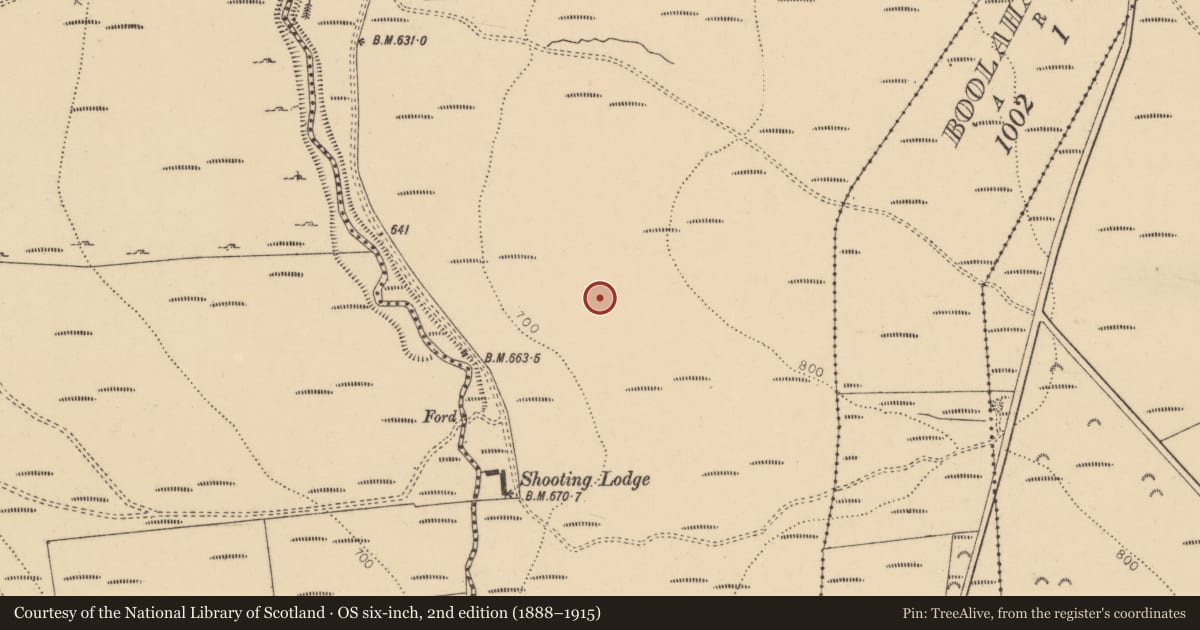 Ordnance Survey six-inch map, 2nd edition (1888–1915) covering the location of Hut site, Clashganny West, County Tipperary South, with a pin at the register's coordinates