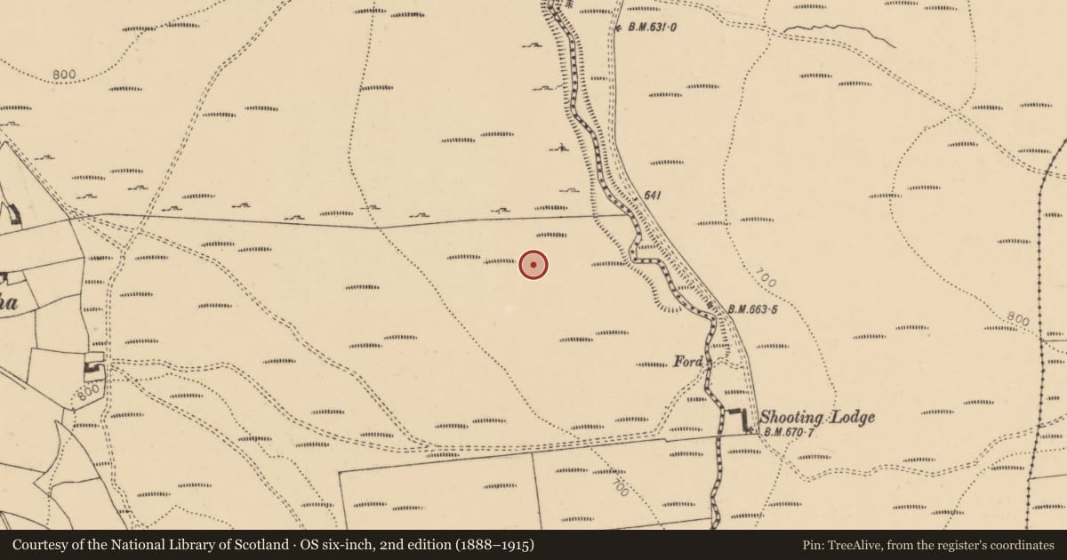 Ordnance Survey six-inch map, 2nd edition (1888–1915) covering the location of Enclosure, Middlequarter (Newcastle Par.), County Tipperary South, with a pin at the register's coordinates