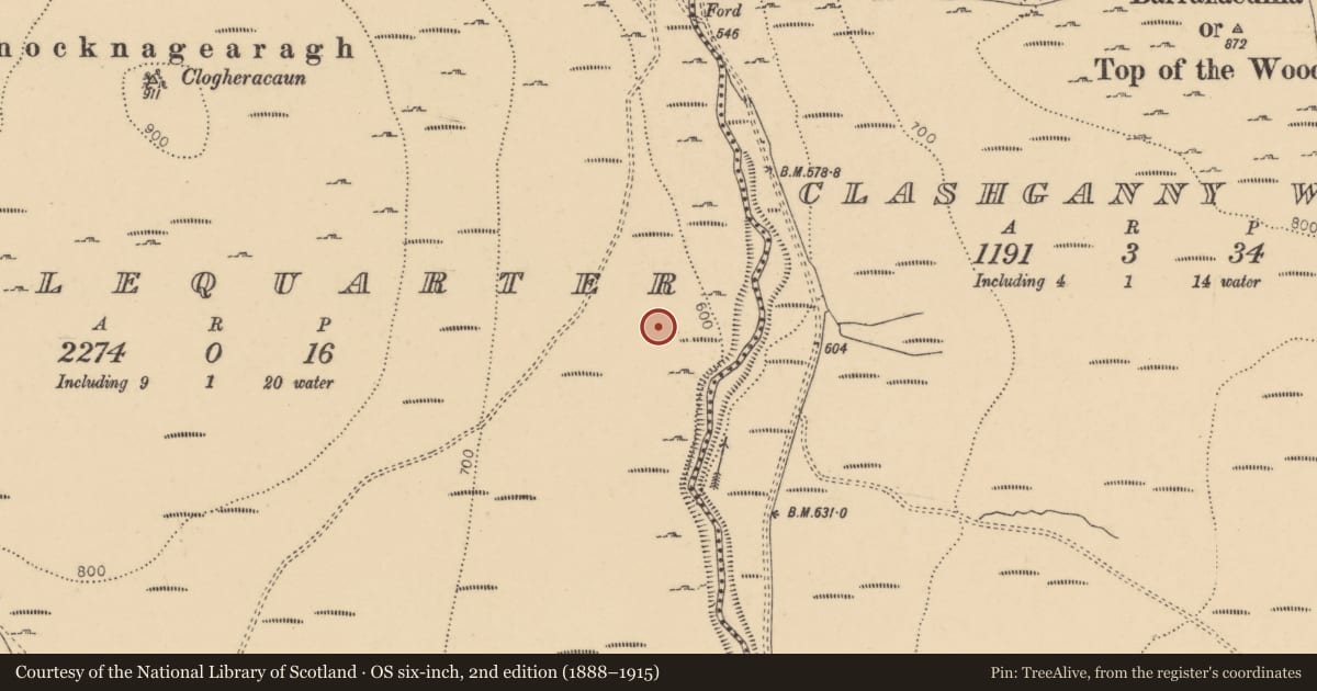 Ordnance Survey six-inch map, 2nd edition (1888–1915) covering the location of Enclosure, Middlequarter (Newcastle Par.), County Tipperary South, with a pin at the register's coordinates