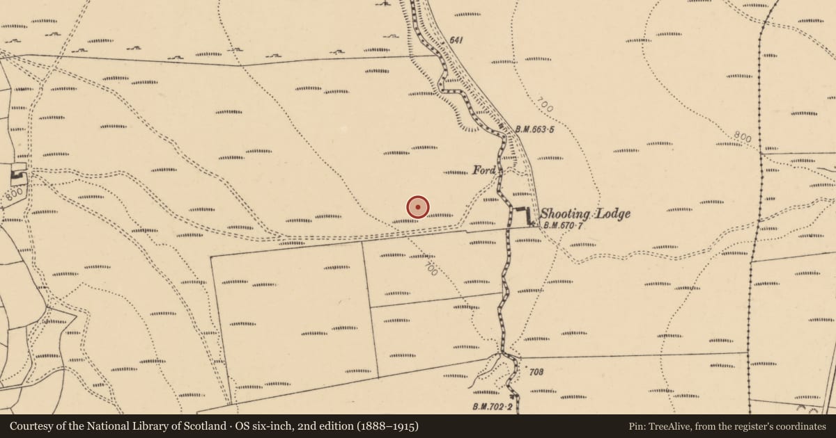 Ordnance Survey six-inch map, 2nd edition (1888–1915) covering the location of Hut site, Middlequarter (Newcastle Par.), County Tipperary South, with a pin at the register's coordinates
