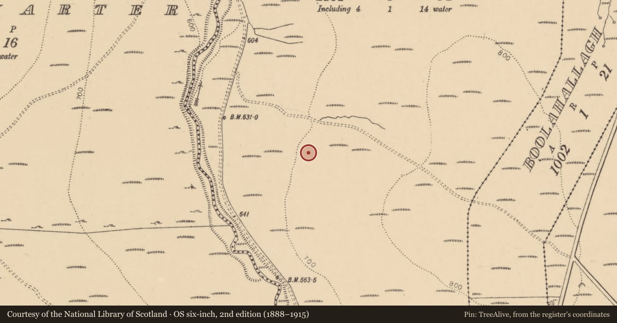 Ordnance Survey six-inch map, 2nd edition (1888–1915) covering the location of Field system, Middlequarter (Newcastle Par.), Clashganny West, County Tipperary South, with a pin at the register's coordinates