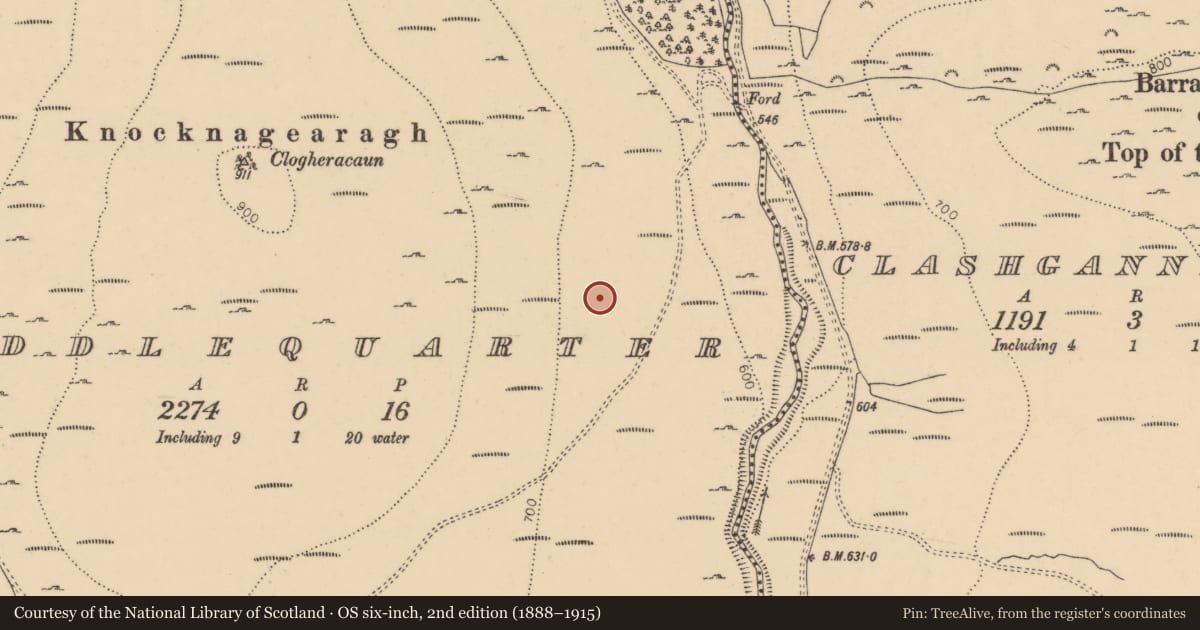 Ordnance Survey six-inch map, 2nd edition (1888–1915) covering the location of Hut site, Middlequarter (Newcastle Par.), County Tipperary South, with a pin at the register's coordinates