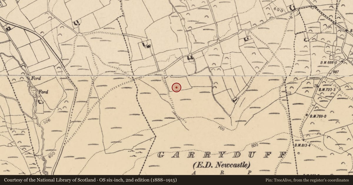 Ordnance Survey six-inch map, 2nd edition (1888–1915) covering the location of Standing stone, Garryduff (Newcastle Par.), County Tipperary South, with a pin at the register's coordinates