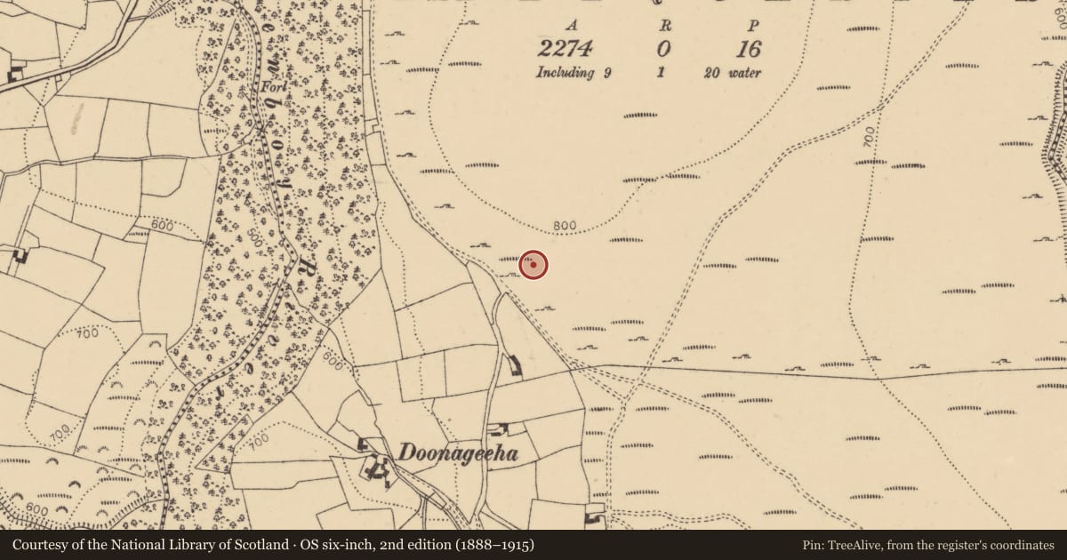 Ordnance Survey six-inch map, 2nd edition (1888–1915) covering the location of Standing stone, Middlequarter (Newcastle Par.), County Tipperary South, with a pin at the register's coordinates