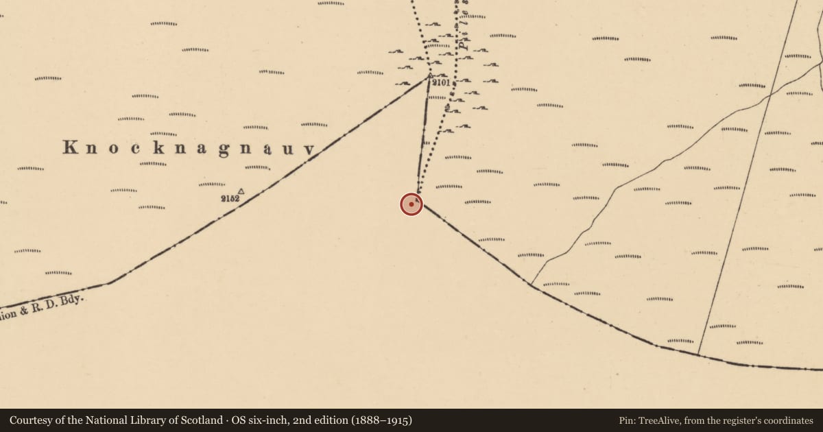 Ordnance Survey six-inch map, 2nd edition (1888–1915) covering the location of Boundary stone, Curragh (Ballybacon Par.), Knockballiniry, County Tipperary South, with a pin at the register's coordinates