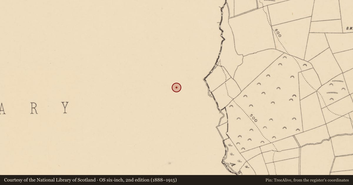 Ordnance Survey six-inch map, 2nd edition (1888–1915) covering the location of Standing stone, Aughavanlomaun, County Tipperary South, with a pin at the register's coordinates