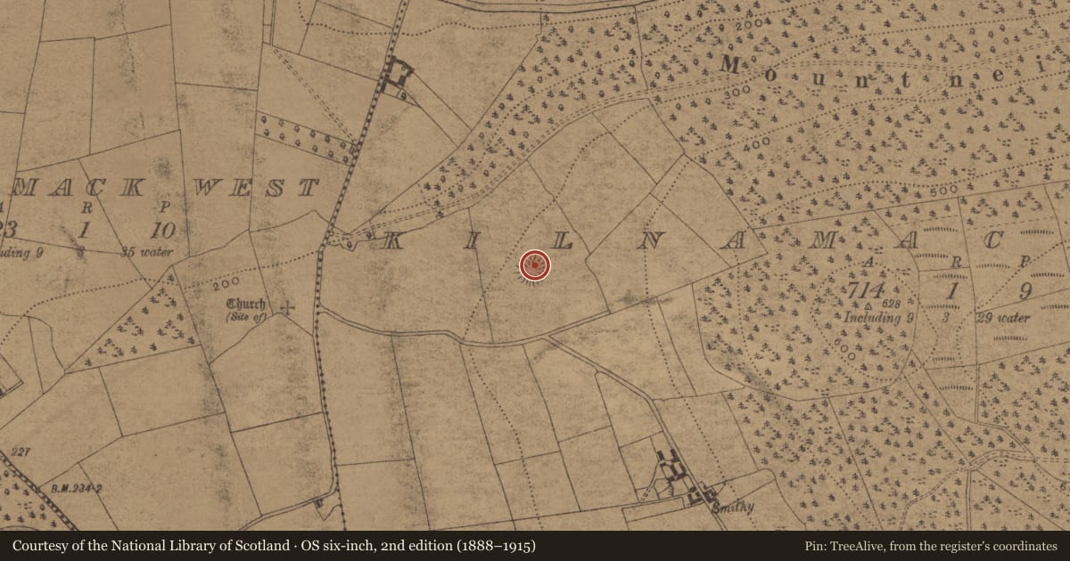 Ordnance Survey six-inch map, 2nd edition (1888–1915) covering the location of Ringfort - rath, Kilnamack East, County Waterford, with a pin at the register's coordinates