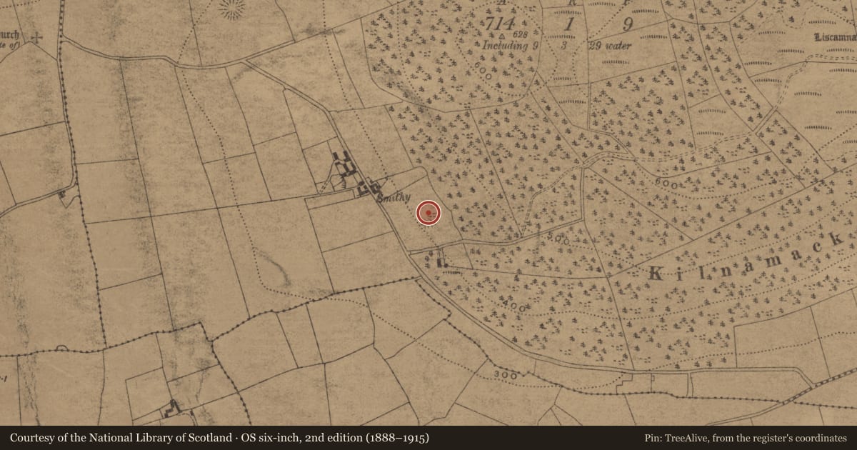 Ordnance Survey six-inch map, 2nd edition (1888–1915) covering the location of Ringfort - unclassified, Kilnamack East, County Waterford, with a pin at the register's coordinates