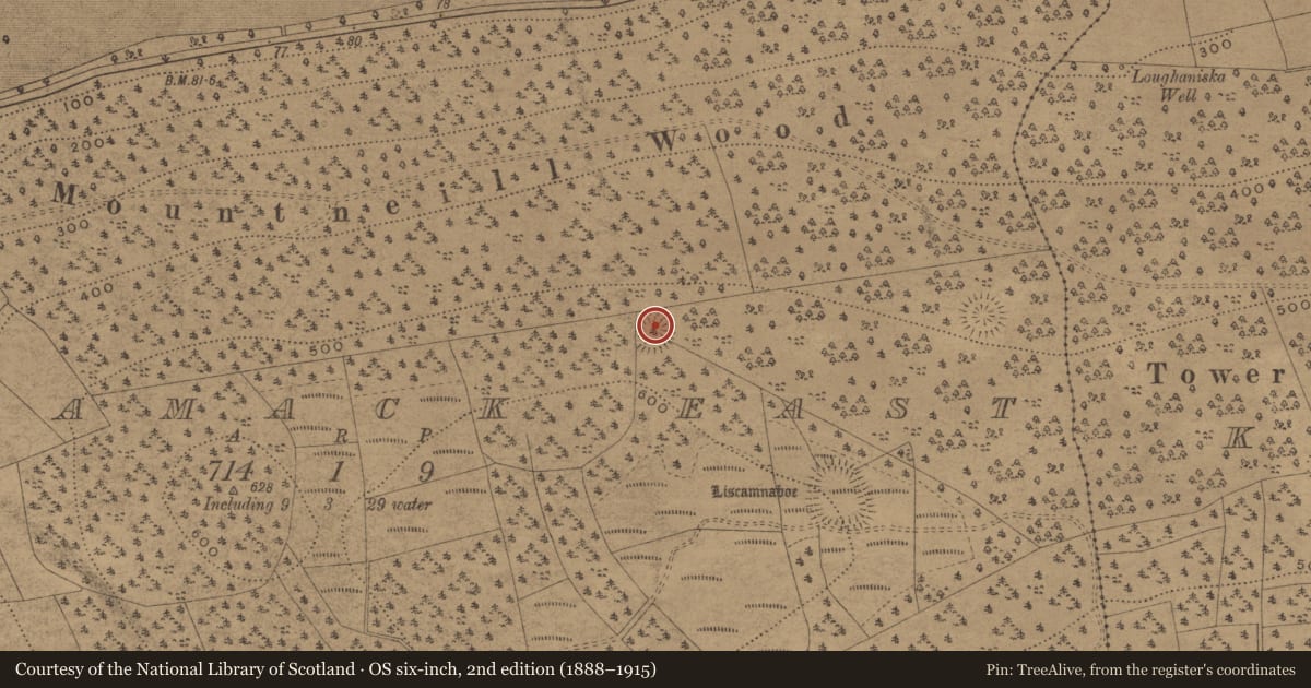 Ordnance Survey six-inch map, 2nd edition (1888–1915) covering the location of Ringfort - rath, Kilnamack East, County Waterford, with a pin at the register's coordinates