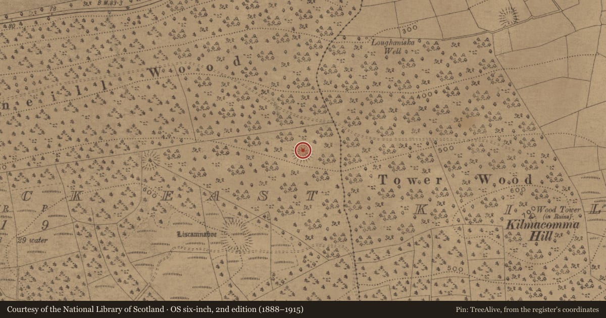 Ordnance Survey six-inch map, 2nd edition (1888–1915) covering the location of Ringfort - rath, Kilnamack East, County Waterford, with a pin at the register's coordinates