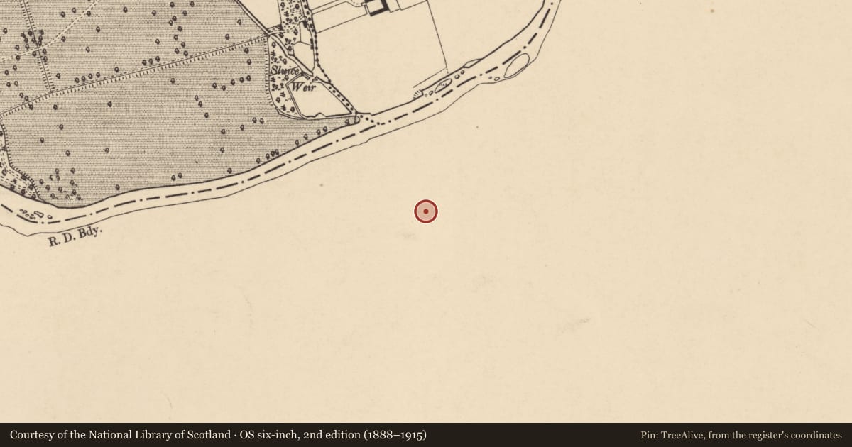 Ordnance Survey six-inch map, 2nd edition (1888–1915) covering the location of Ringfort - rath, Kilmacomma, County Waterford, with a pin at the register's coordinates