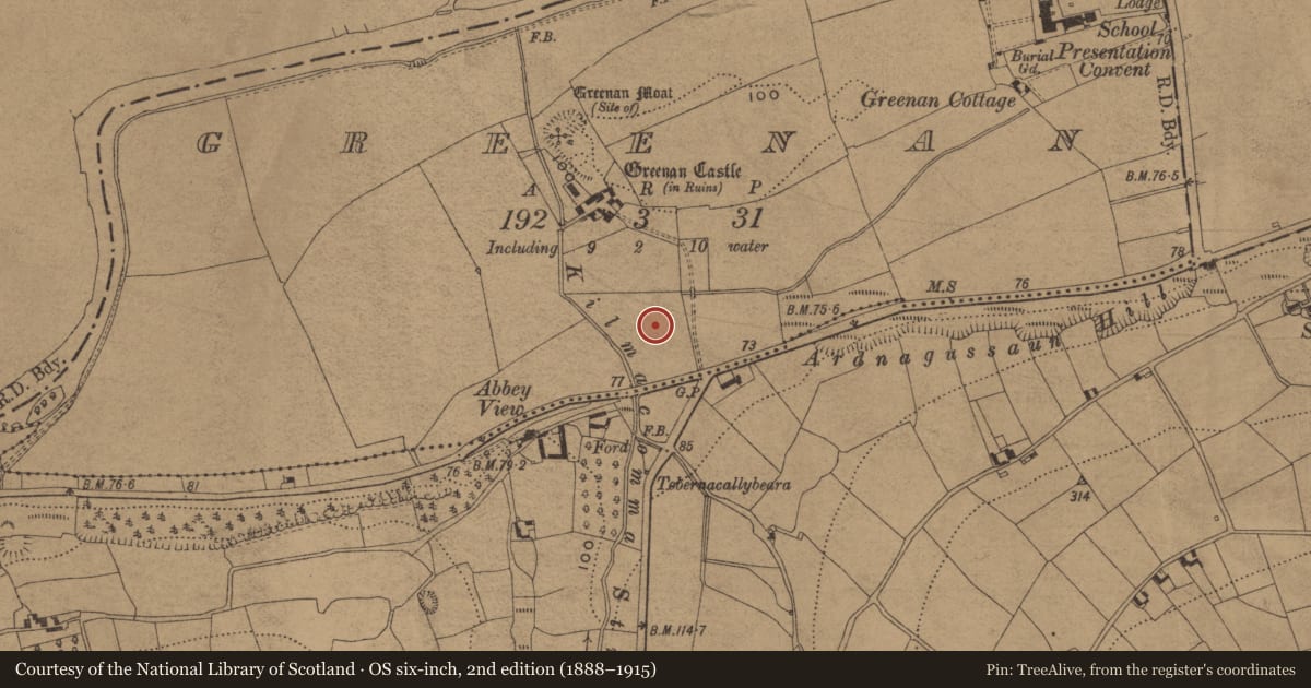 Ordnance Survey six-inch map, 2nd edition (1888–1915) covering the location of Graveyard, Greenan, County Waterford, with a pin at the register's coordinates