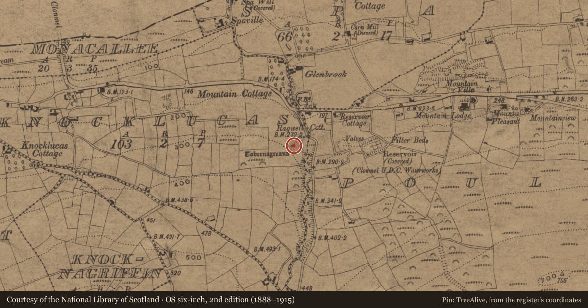 Ordnance Survey six-inch map, 2nd edition (1888–1915) covering the location of Ritual site - holy well, Knocklucas, County Waterford, with a pin at the register's coordinates