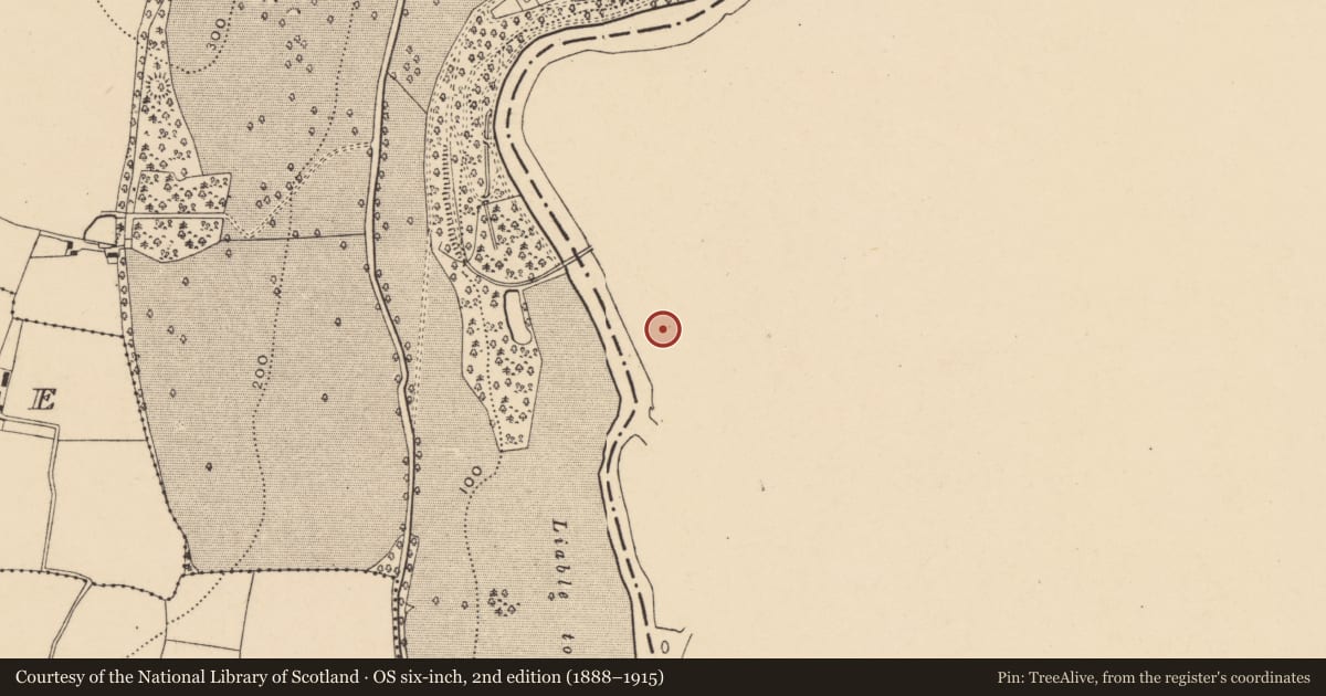Ordnance Survey six-inch map, 2nd edition (1888–1915) covering the location of Church, Kilmanahan, County Waterford, with a pin at the register's coordinates