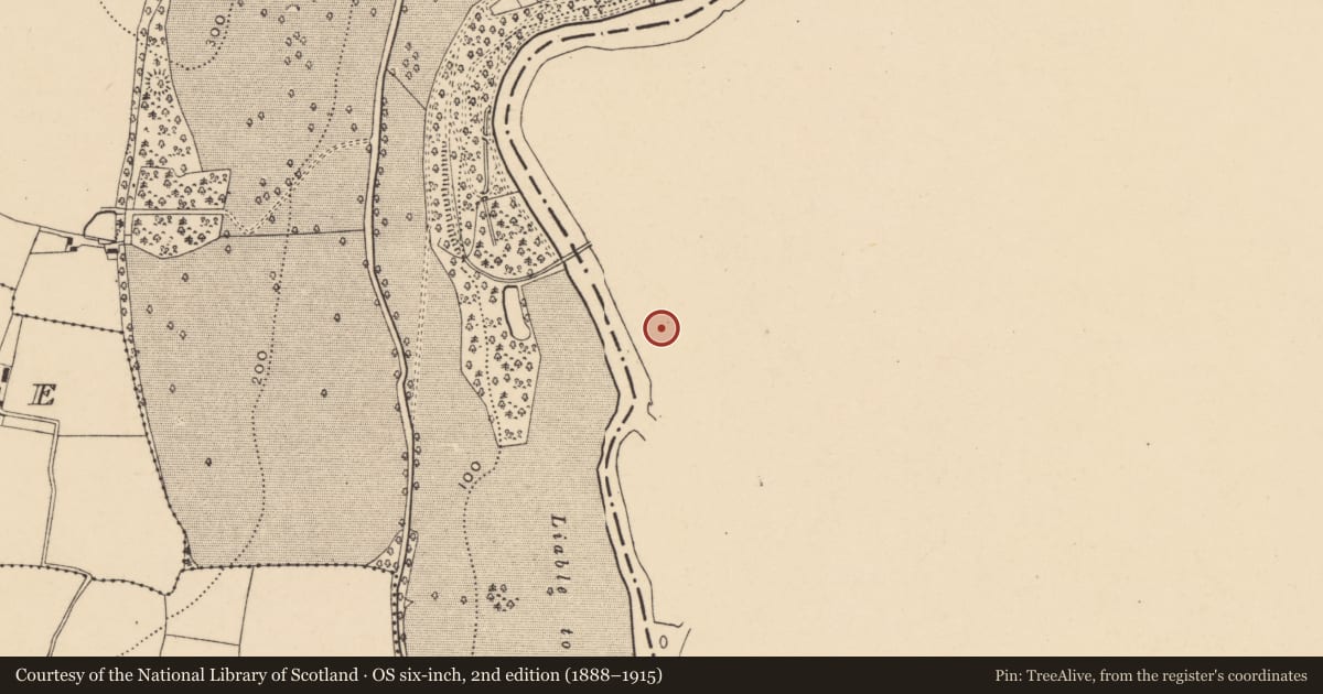 Ordnance Survey six-inch map, 2nd edition (1888–1915) covering the location of Graveyard, Kilmanahan, County Waterford, with a pin at the register's coordinates