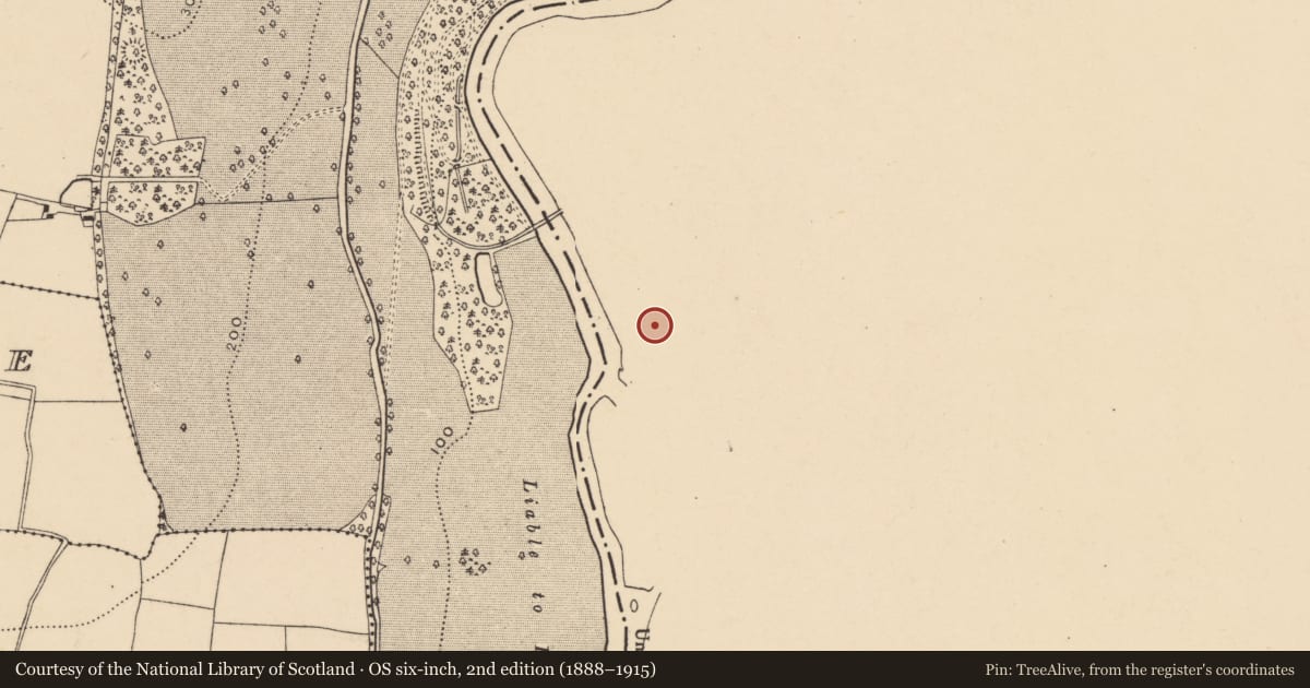 Ordnance Survey six-inch map, 2nd edition (1888–1915) covering the location of Castle - tower house, Kilmanahan, County Waterford, with a pin at the register's coordinates
