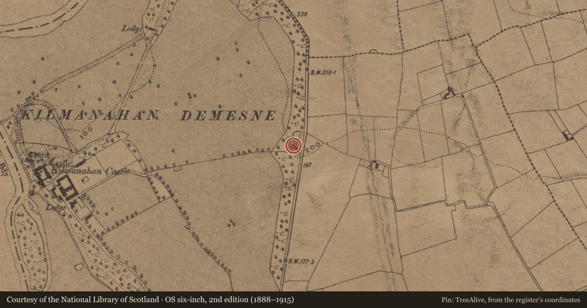 Ordnance Survey six-inch map, 2nd edition (1888–1915) covering the location of Ringfort - rath, Kilmanahan, County Waterford, with a pin at the register's coordinates